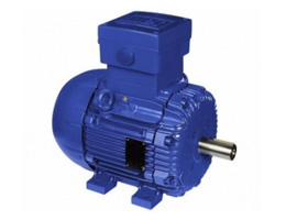 WEG Wangao Explosion-proof motors