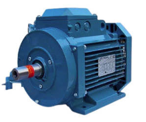 ABB Standard motor
