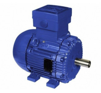 WEG Wangao Explosion-proof motors