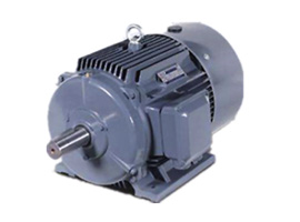 BEIDE Motor 1TL0001 series