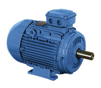 WEG Wangao Motor丨W20 Series