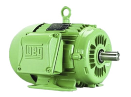 WEG Motor W21 series