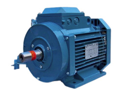ABB Standard motor