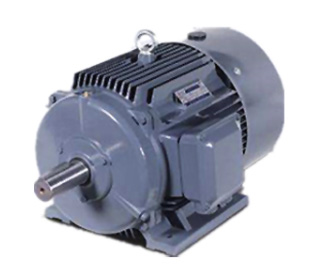 BEIDE Motor 1TL0001 series