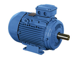 WEG Wangao Motor丨W20 Series