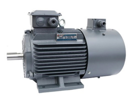 BEIDE frequency conversion motor丨YVF2 series