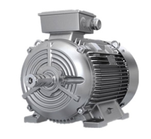 SIEMENS Motor 1LE0001 series